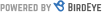 BirdEye Logo